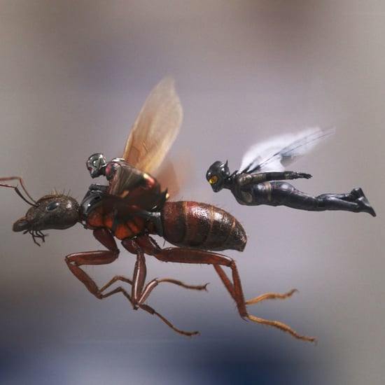 Ant-Man and the Wasp Fan Reactions