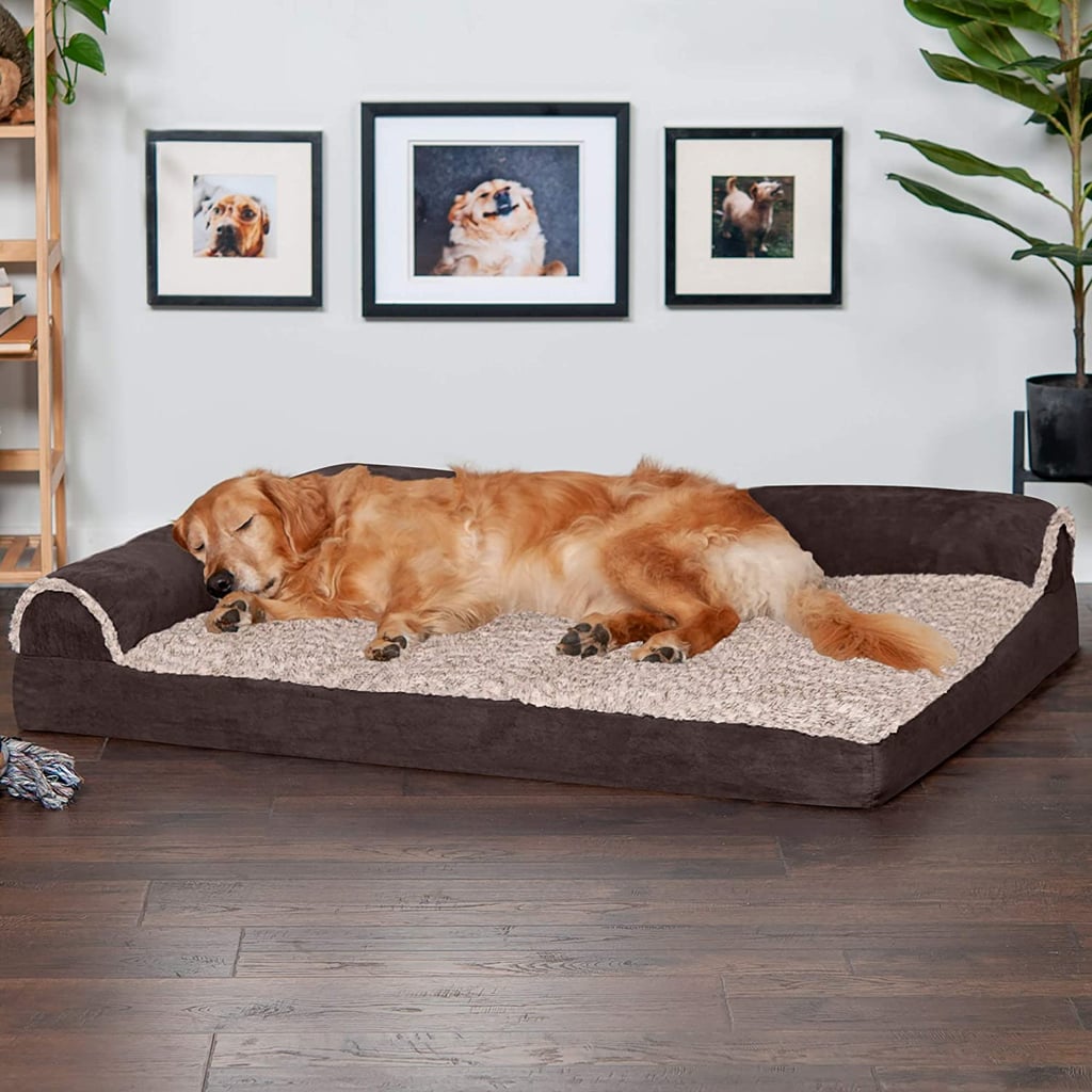 A Cosy Bed: Furhaven Orthopedic, Cooling Gel, and Memory Foam Pet Bed