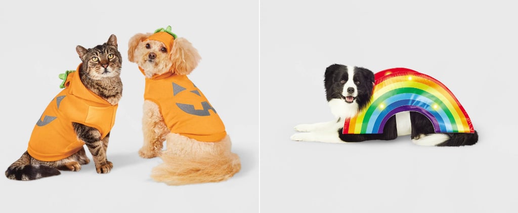 Best Dog Halloween Costumes at Target 2022