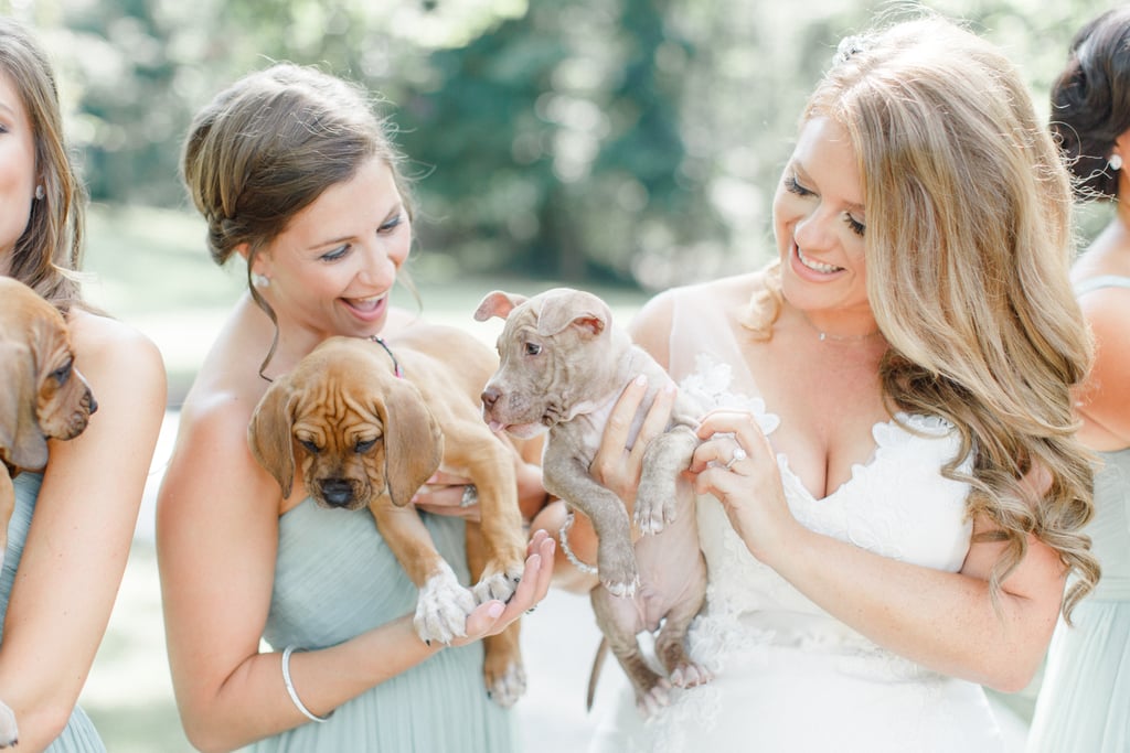 Bride Uses Puppies in Wedding Photos