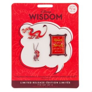Wisdom Pin Set ($17)