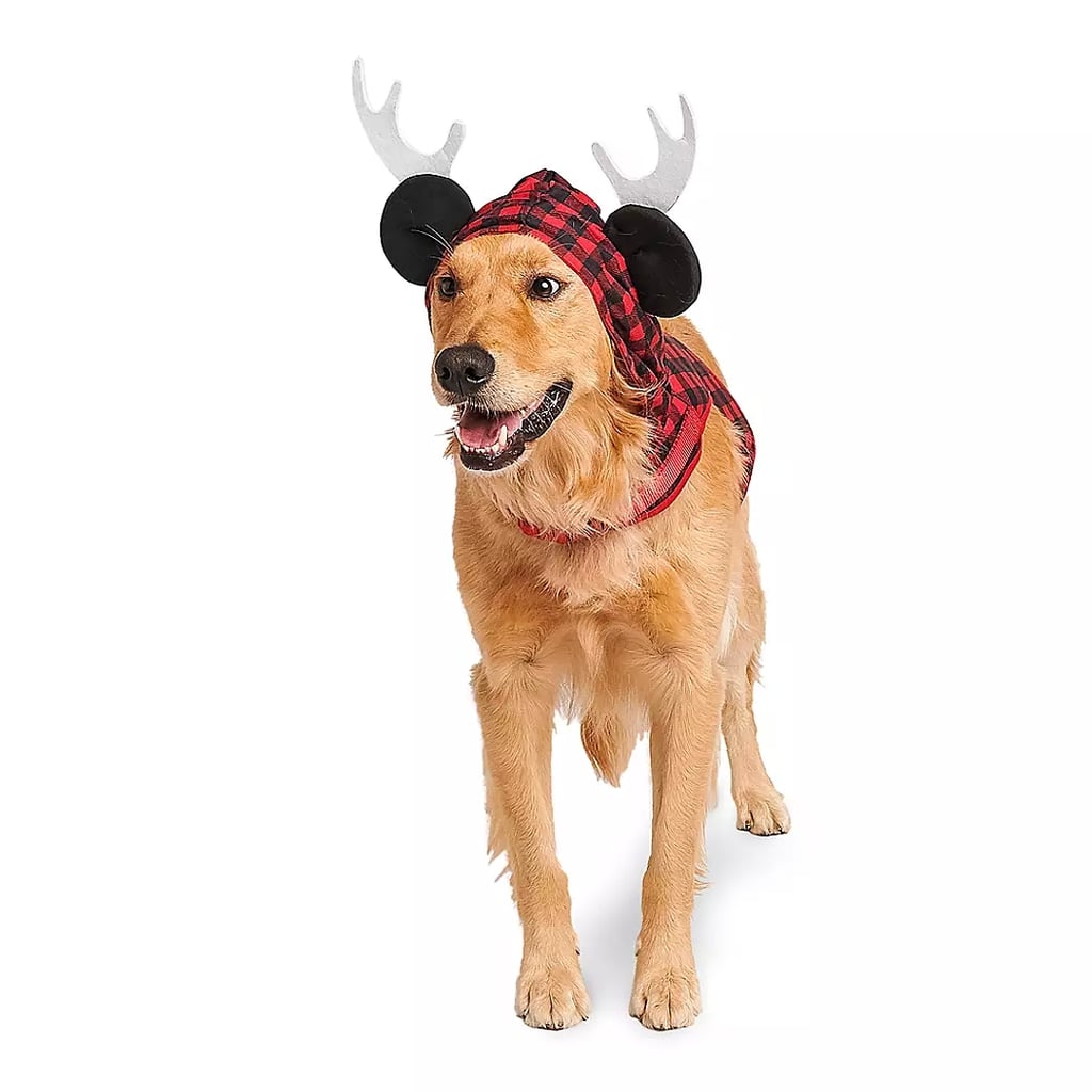 Mickey Mouse Holiday Pet Harness