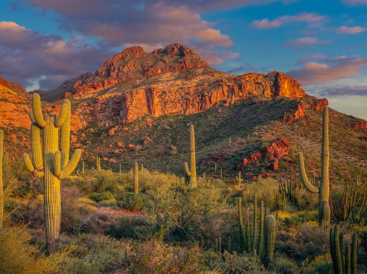 Tell Me About Tucson Arizona