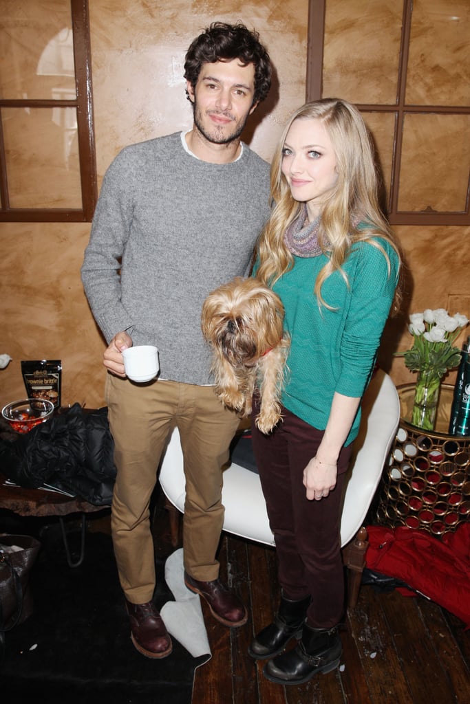 Adam Brody and Amanda Seyfried posed with an adorable dog as they promoted Lovelace in 2013.