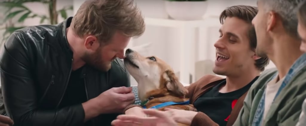 Queer Eye Fab Five Dog Makeover Episode