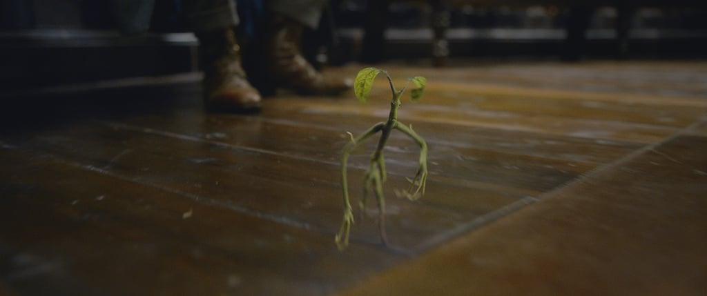 Fantastic Beasts and Where to Find Them 2 Photos
