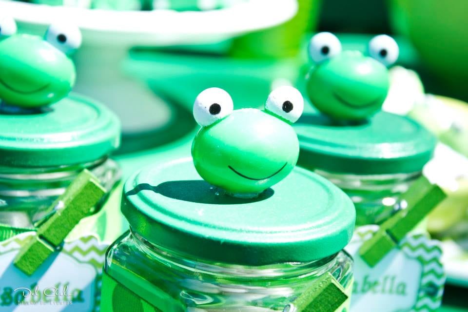 Frog Leap Day Birthday Party