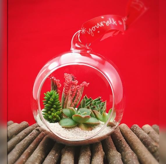 Succulent Christmas Ornament