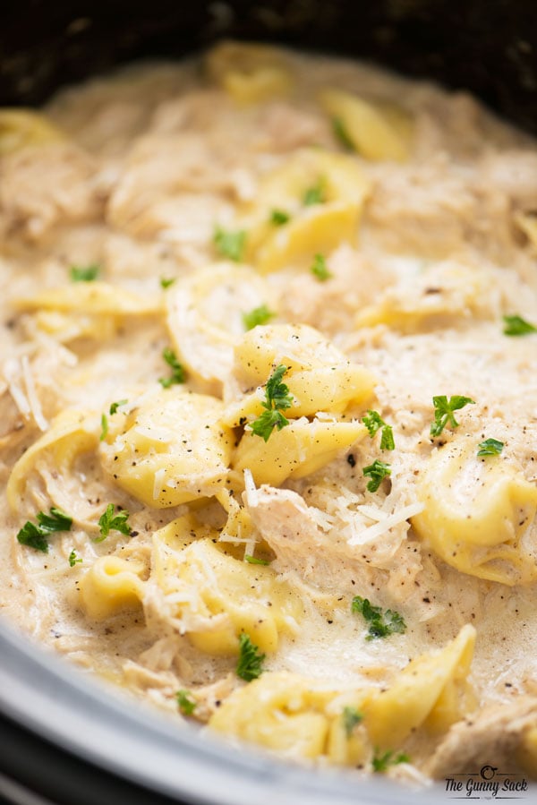 Chicken Alfredo Tortellini