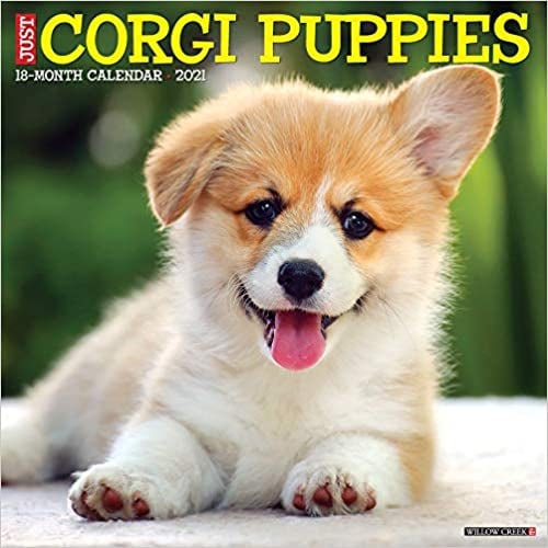 Just Corgi Puppies 2021 Wall Calendar