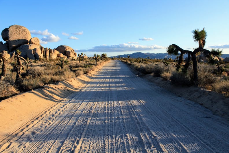 Joshua Tree National Park, CA