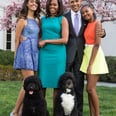 30 Times Bo and Sunny Obama Were the Coolest Members of Their Family