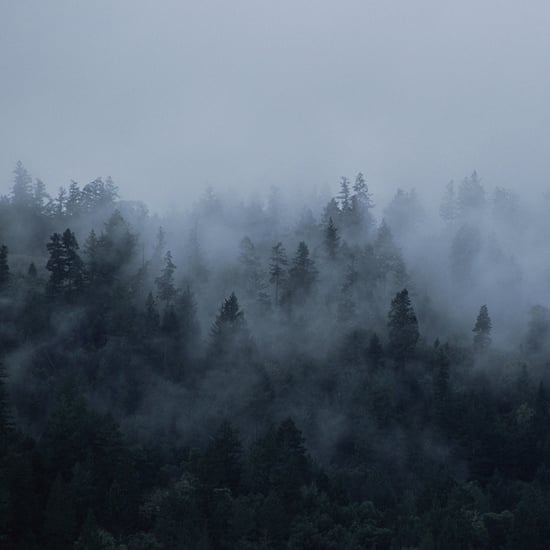 Will American Horror Story Season 6's Theme Be Forest?