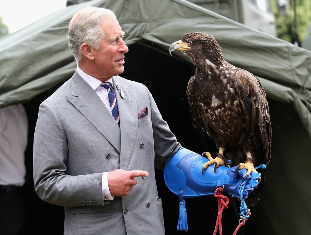 Photos of Prince Charles With Animals