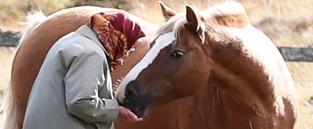The Queen Hand-Feeds Her Horses in Scotland, and We've Never Witnessed a Love So Pure