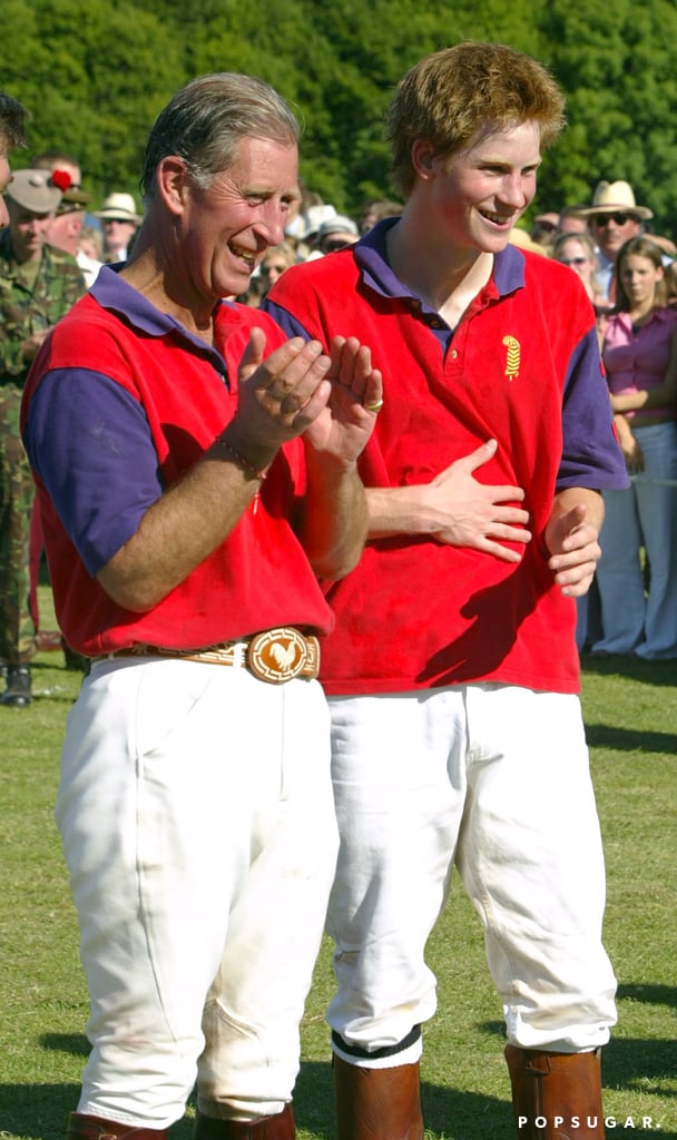 Prince Harry and Prince Charles Pictures