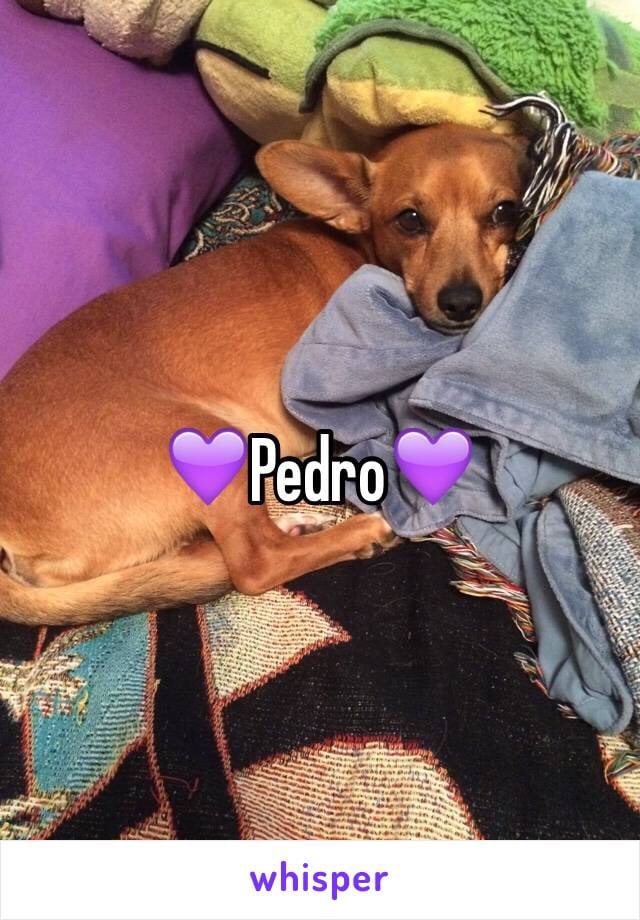 Dog-Lovers on Whisper