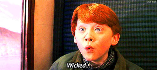 The first time you ever picked up a Harry Potter book.