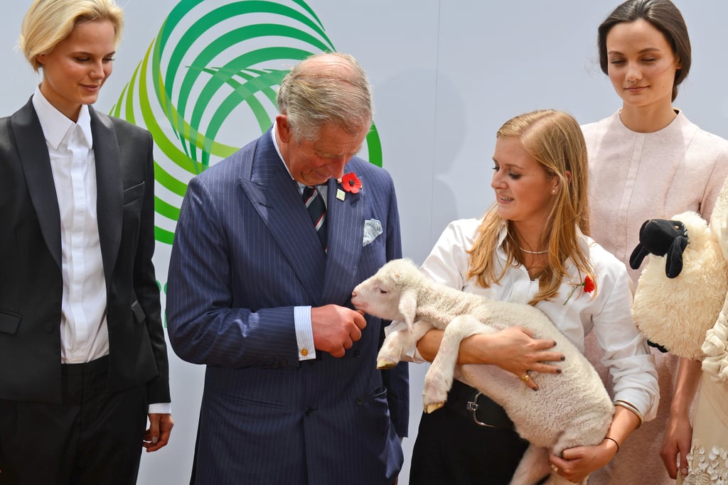 Photos of Prince Charles With Animals