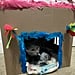 How to Make a DIY Cat Playhouse