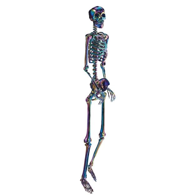 Shop Grandin Road’s Life-Size Iridescent Halloween Skeleton