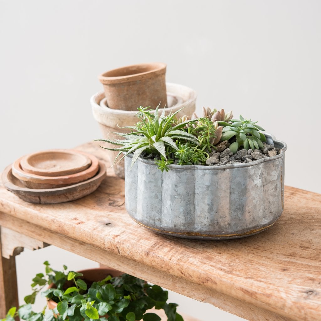 Scalloped Metal Planter