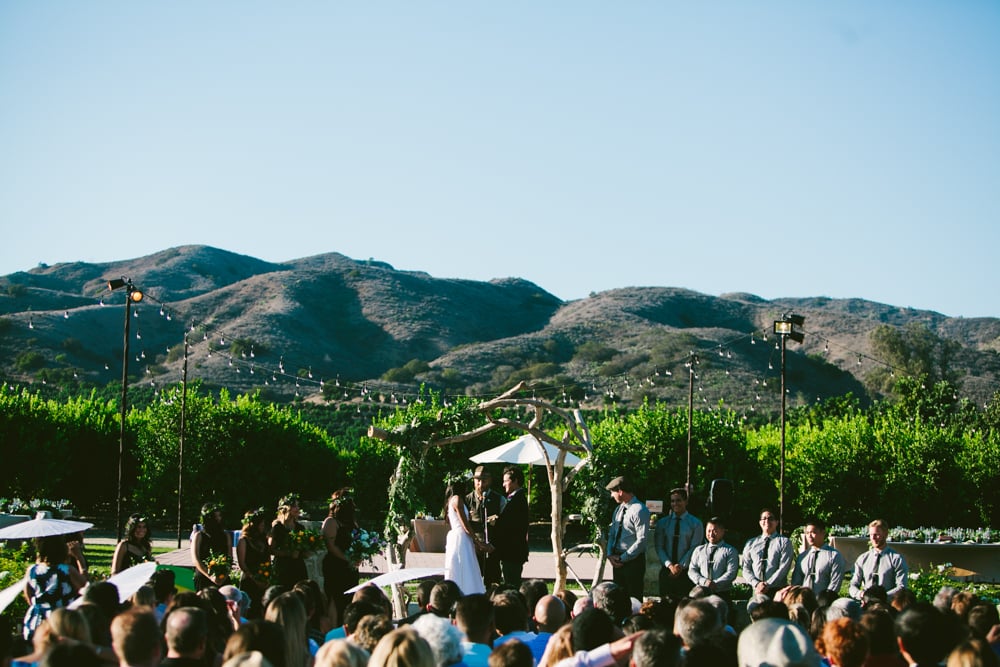 Lemon Orchard Wedding