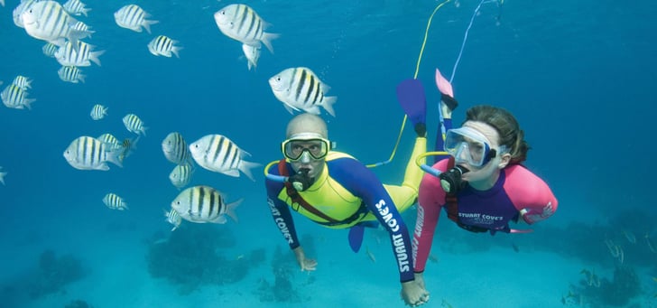 Best Things To Do At Atlantis In The Bahamas Popsugar Smart Living