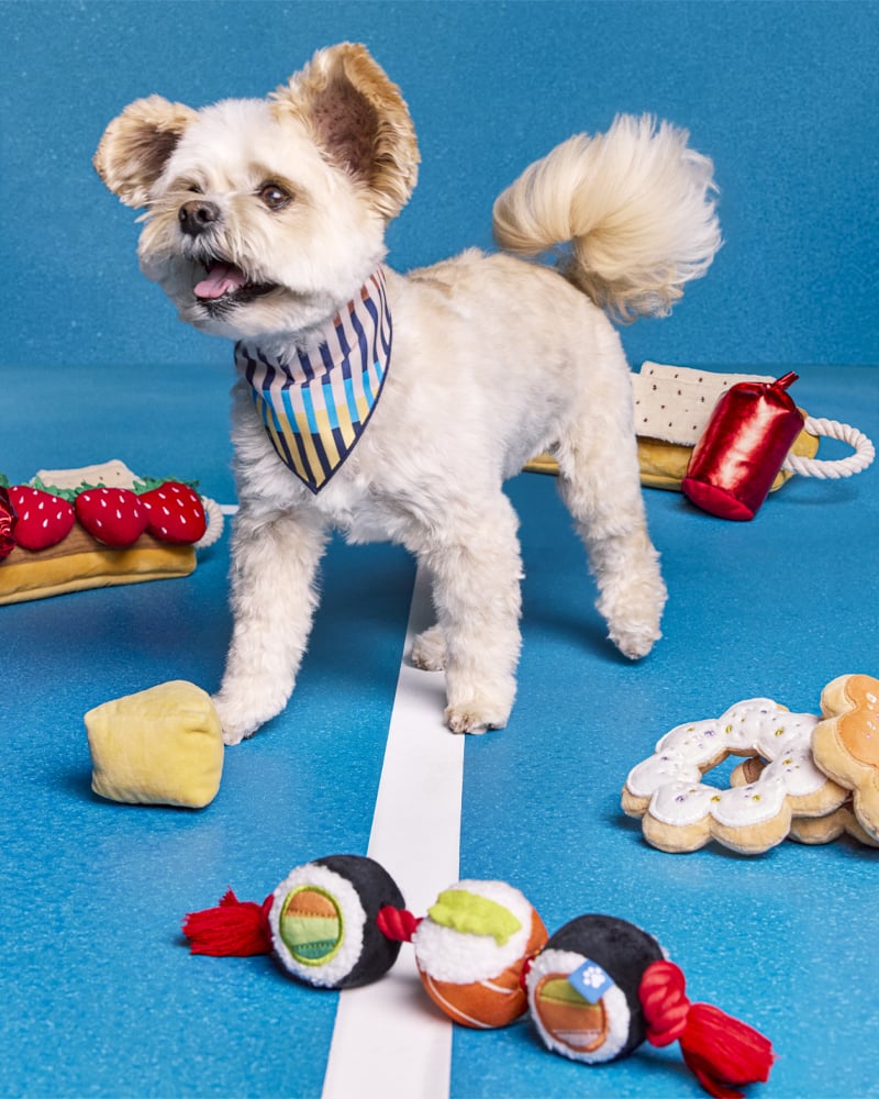 Target Unveils The Cuddle Collab Pet Collection, Coming Soon