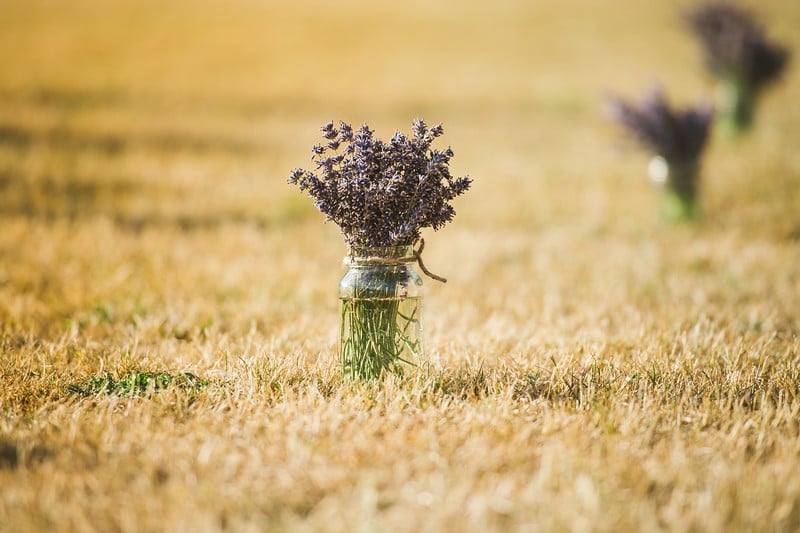 Rustic Coastal Wedding