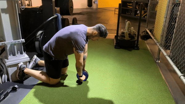 Ab Wheel Rollout From Knees