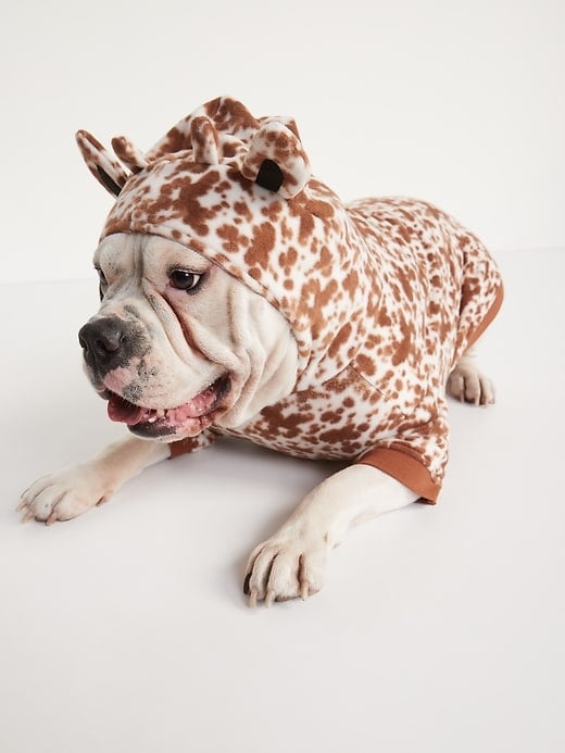 Old Navy Dog Clothes and Sweaters POPSUGAR Pets