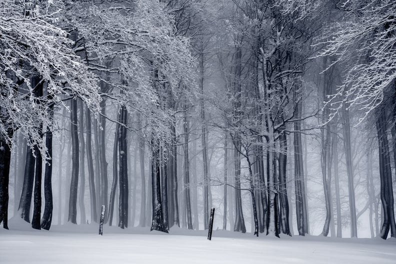 Hike a Beautiful Snowy Trail