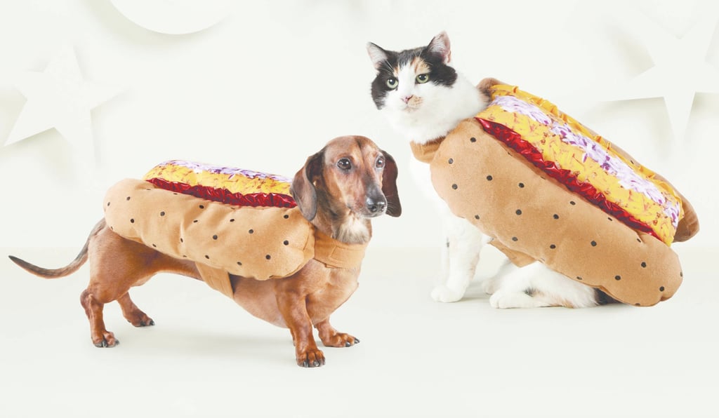 Cheap Pet Costumes Popsugar Smart Living