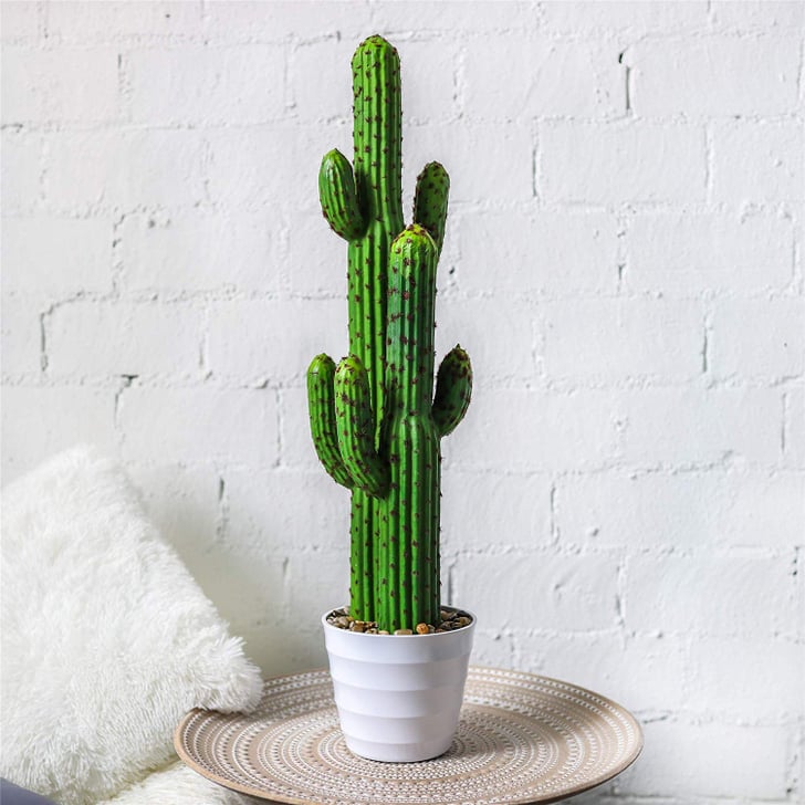 Fake Saguaro Cactus Desert Plant | Best Fake Plants That Look Real ...