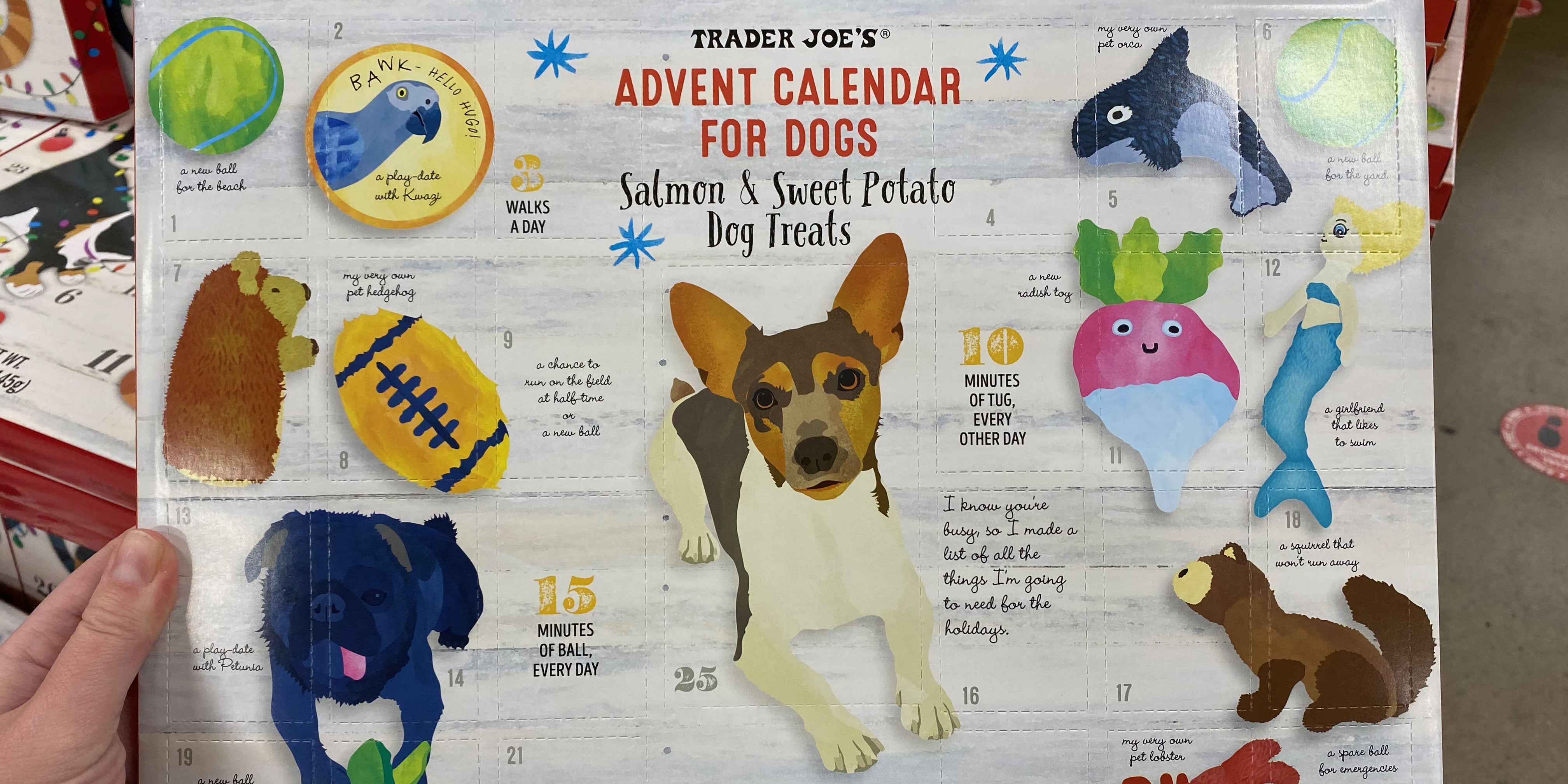Trader joe's advent calendar dog best sale