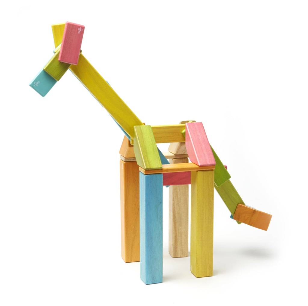 22-Piece Tegu Magnetic Wooden Block Set 22-Piece Tegu Magnetic Wooden Block Set
