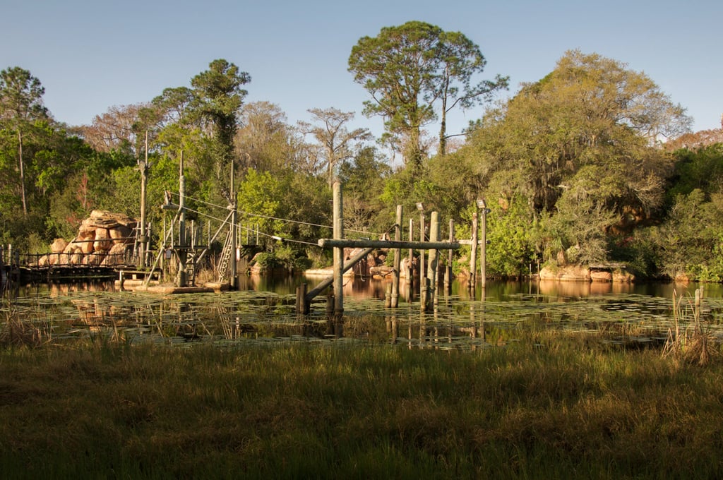 Abandoned Disney Park Photos