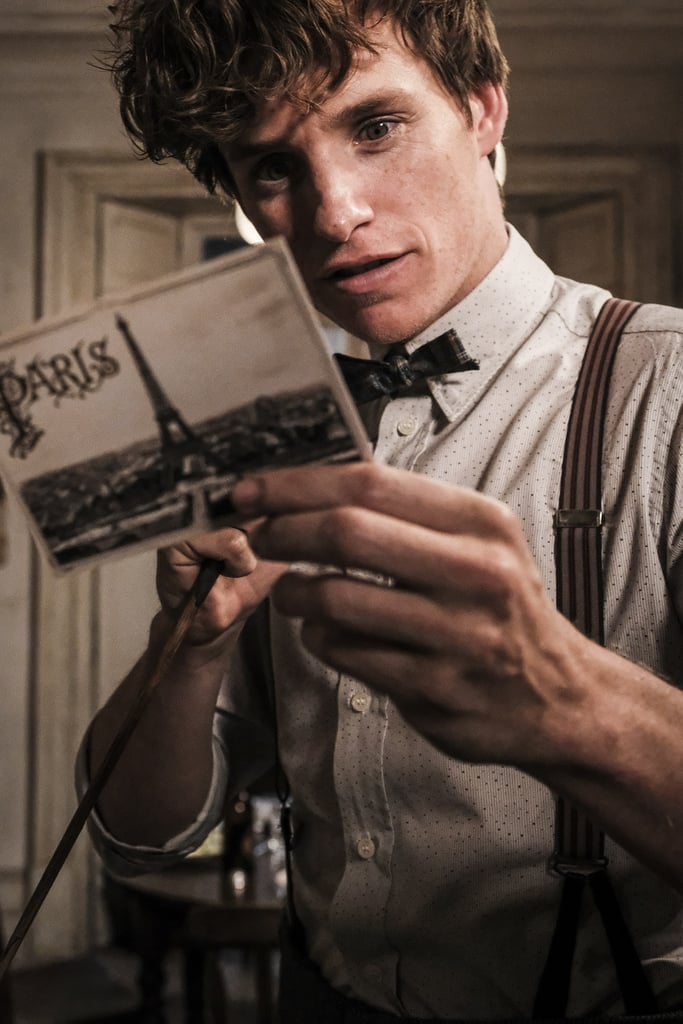 Fantastic Beasts and Where to Find Them 2 Photos