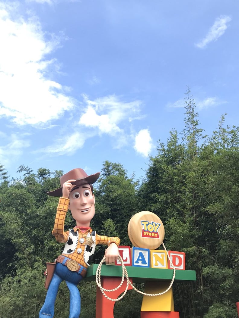 Toy Story Land