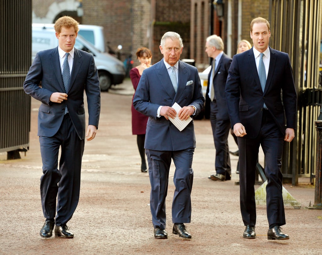 Prince Harry, Prince Charles, and Prince William attended a conference against illegal wildlife trade in London on Thursday.