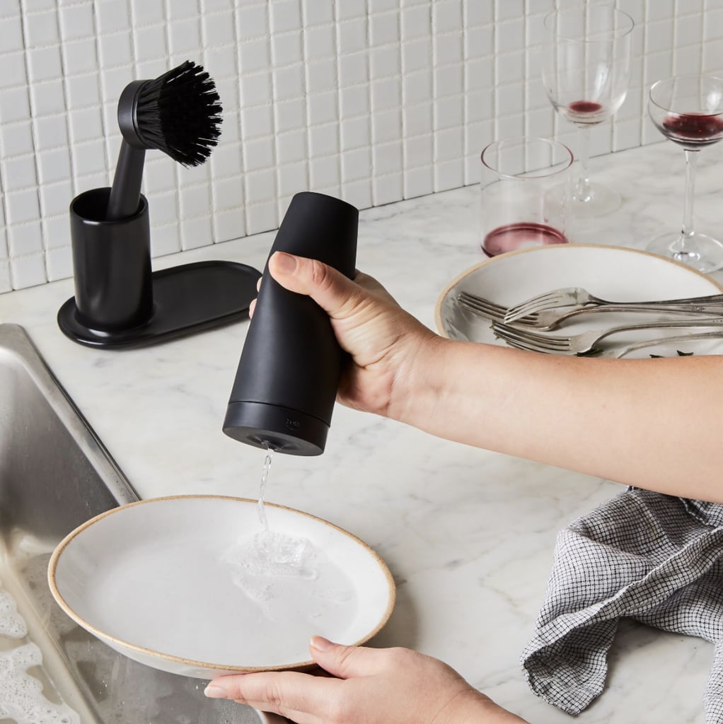 Zone Dishwashing Set With Squeeze Bottle