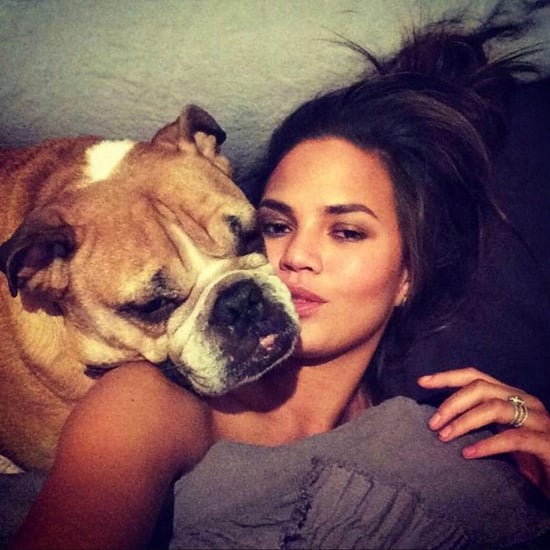 Chrissy Teigen's Dog Puddy Dies