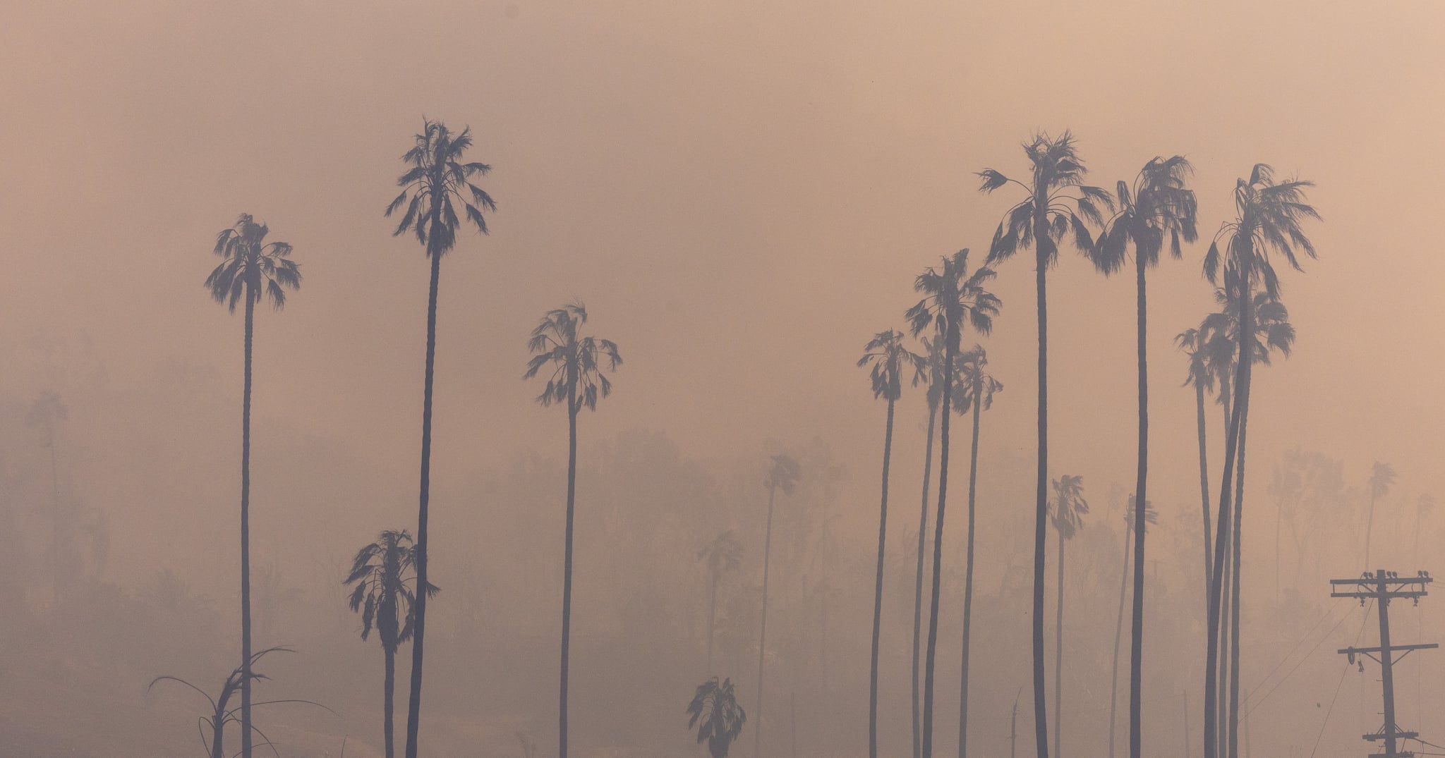 How to Stay Safe From Poor Air Quality, According to MDs