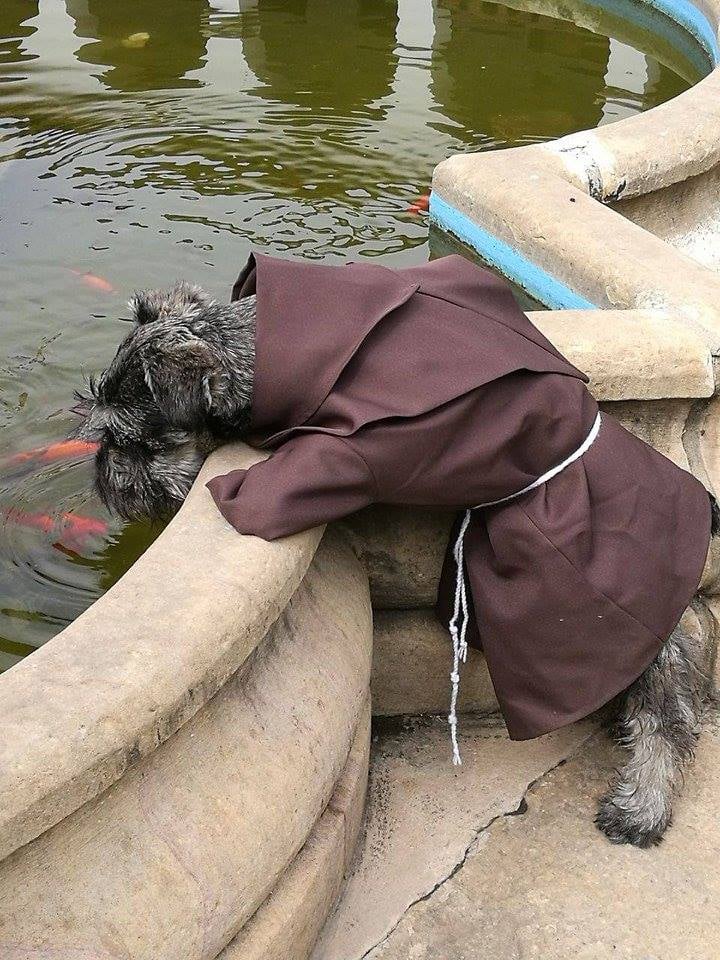 Dog Adopted by Monastery in Bolivia