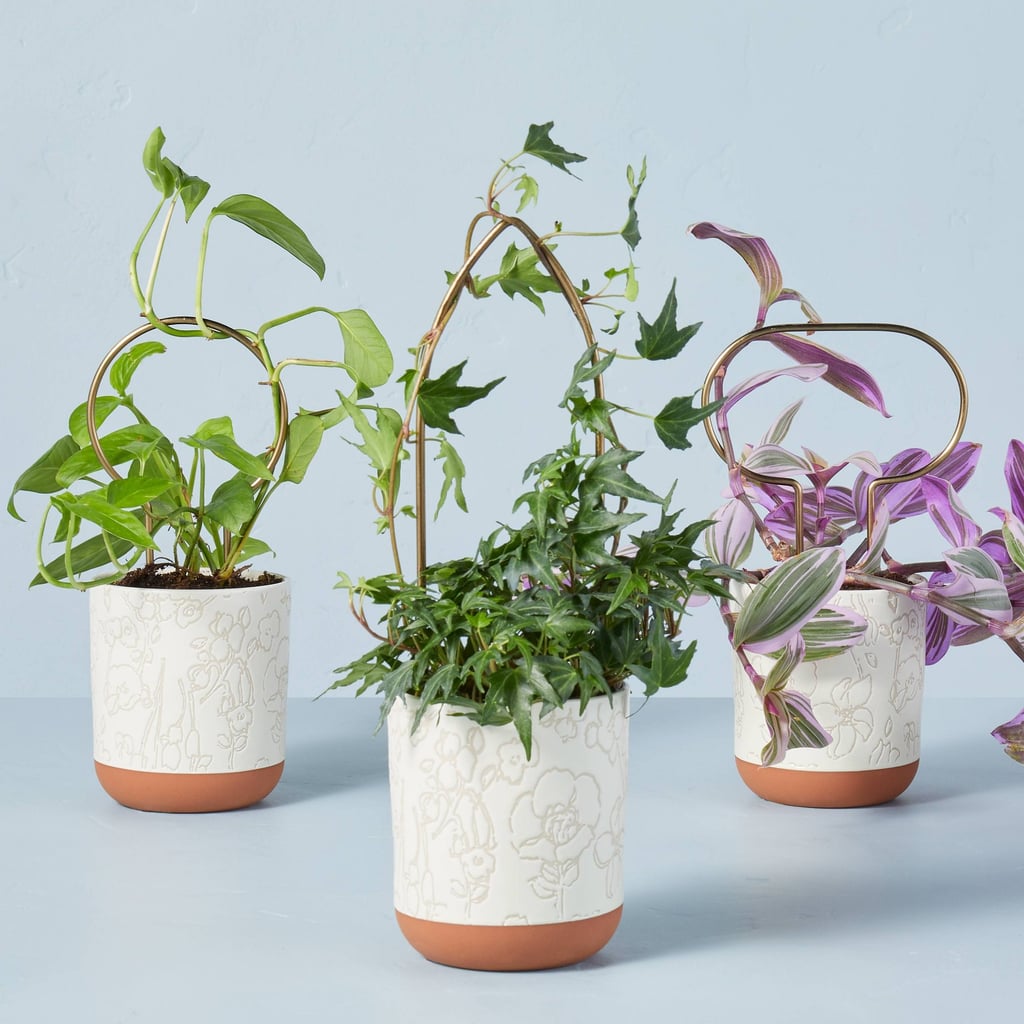 For Plants: Hearth & Hand With Magnolia Mini 3pc Metal Plant Trellis Set