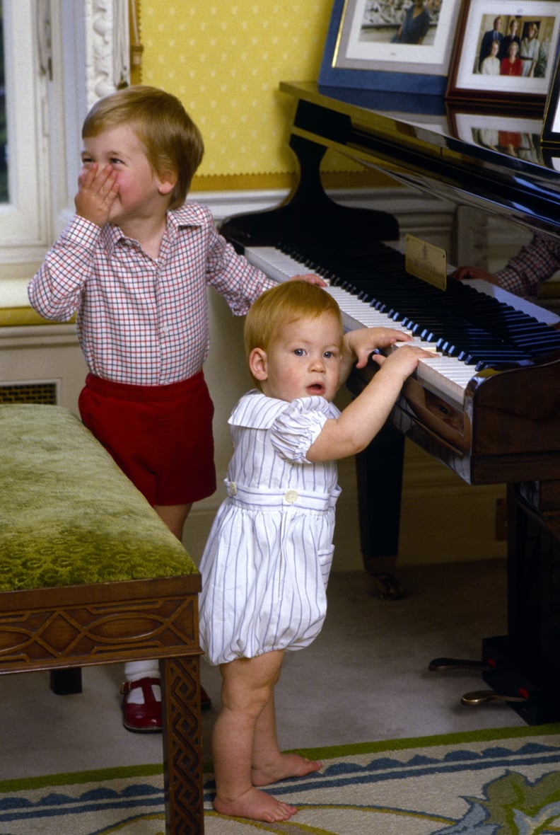 Portraits of Prince William and Prince Harry