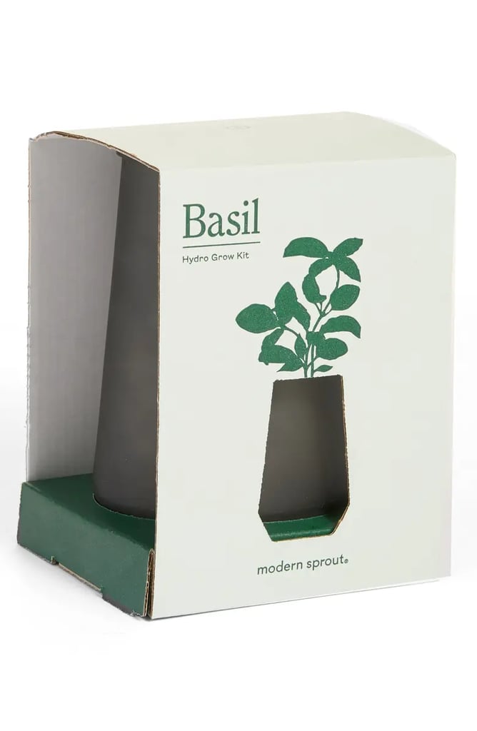 For the Plant Parent: Modern Sprout Tapered Tumbler Basil Hydro Grow Kit