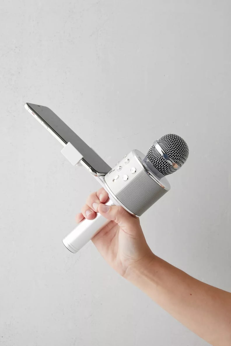 For the Karaoke Family: Karaoke Microphone