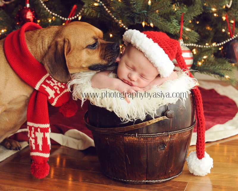 Adorable Baby and Puppy Christmas Picture Ideas